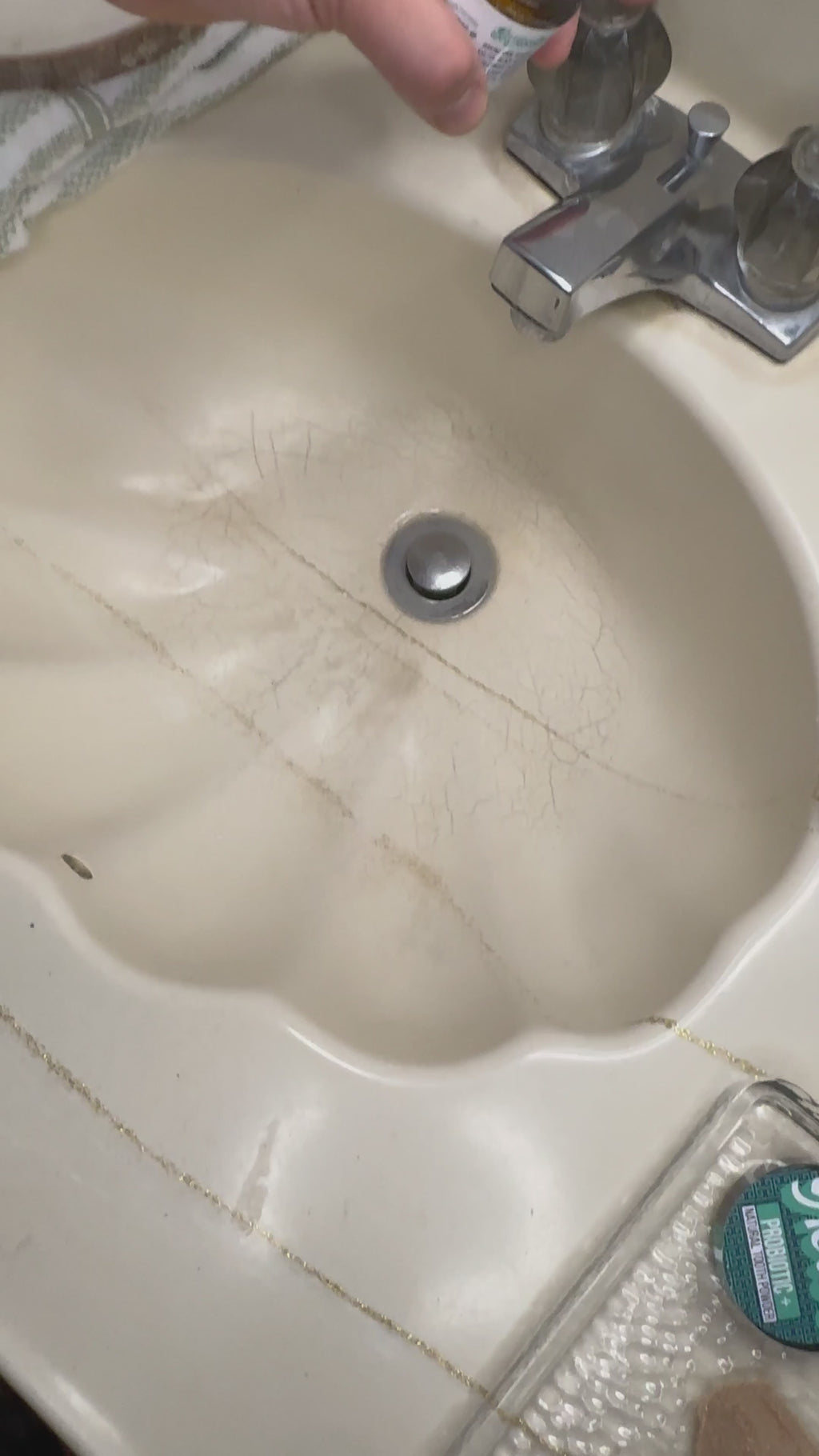 Probiotic Plus Tooth Powder – Natural Oral Microbiome Tooth Powder with Xylitol & Bentonite Clay